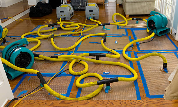 Professional Burst Pipe Water Damage technician working in Stonington, CT